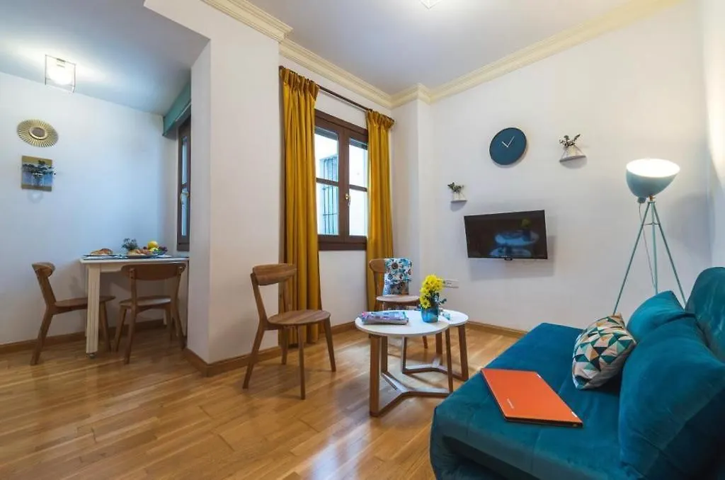 Adorable Apartamento Centro Granada Apartment