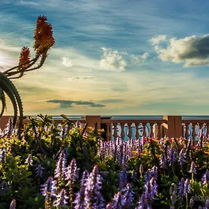 Iris , Benalmádena España